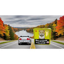 ffff7fff7f3c7ffc7ff01fc00000005006680ff804f087680dc698d4f847ff7fa4aba4ab0ca49b2117181a29151a1c28