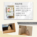 fffffffffebff9ffe9ffedffe9ffe1fffffffffffd5081bf8181c183c383ff0324202424191d0000197500001f1a1a17