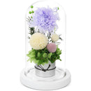 fffffffffa5ffc1ff83ffc1ffc3ffc1ffc7ffc1ffc1ffe3ffe1ffe27f78ffc1f000000000000b4000000210000000000