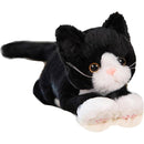 fffffffffffffff7fec7fc0380038013f81ff83bf007f837fe7fffcfffffffff00000000000000eb000012070000970b