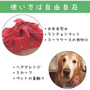 00000000ffffefffc1ff00ff00ff00ff81ffc7c7ff89ff89ff81fd81ff81ffe7