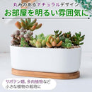 f1f9e1fcae23ffffe1fff1ffe285e201e003fffdfffffffffffff001fffff9ffc7129a9b92179a9b9c351c429b929b97