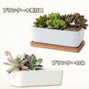 ffffffffd4ffff00fe00ff00fffcfffdfc1cffe1d1ffc0fee0ffffffffffffef222b222b22223e1a22240fb2221e1312