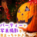 0000000500391078006e007e00fe00fc00f800986ff0fbfcfff4ffe0fff0ffff