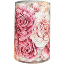 fffff277f13ff4dff07ff0dff00ff047f217f167f08ff037f027f057f247f80f000000000001f21e000206ff0001fcfe