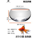 ffffffeefffffffff001e3f0c3f0e1f1b1e3fecffe5fffefe50fff95fffdfd1200000000009c6b6b009e009e0000ff00