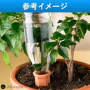 ffffffffffff2cfd46f0c4e02cd48c6596033f4bfba3ff01c000e240e080f18092929292404520423f2b3c441e131c15