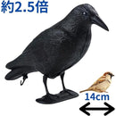 ffffadffa9e3ffc3ff05fc07f807f007f00fc01fe03fc6fdfffbfe97fc3fffe00000000000009ba4009ba20000000000