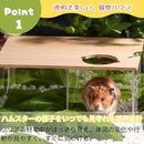 fffffffff800f08020007febfffeffc740204041000c001d001cffff60fffe87353522223114102e24323035303b3111