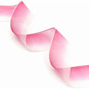 ffffe7ff03ff83ffc7ffc7ffc61fe00fe007fb8fff8fff8fff8cffc0ffe0fff7000000001cf2000000f8f2f200000004