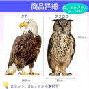 000000200000fffffbc7ffc7f9c7e083e093e083c183c187e587d7cfffffffffa9a9a9a9c9d5001ac7ff001bc7130018