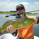 ffffffffffbffe1ffe1f0017f800ff05fd03c020c0038810180010203820ff03