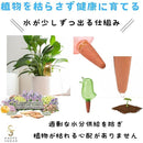 ffffa71afffffffdedff859f818f81e981f9e3dde3ddc1dd81d8d7fffc8ff58d00000000003c00000032000000fb0000