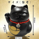 fffffecffbeff80ff98ff80fc02fe00fe00fe007f007f103d007fb07f11fe0071e22271f20206b2123ffeb1a271f1d00