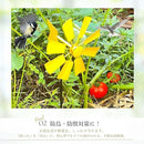 ffffc9b1c829d797c0b3d319d001c301c211c001e001c007db13fffffdffffff5535523d80582b3c9337363a4137311b