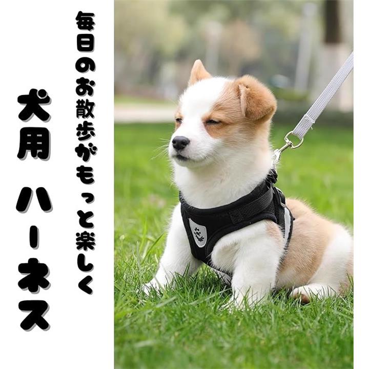 fd80f4a2f402f4c1d4e9d7e2dc68fc18fc70fc02dc8bfcb9dc99fc10dc00fc0000002d31000009130000372b0000321a