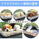 ffffffffffffffffffffa670fbc0d8818514c6f90021118011a80fdf781c00220000000000002b0000906ba29a152b09