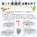 fffff83ff00ffffed7feee57ffffffdfca6aff67c1c1c1e1f5ebe380c1e083ff9b9b9b9b9b279b9b9b0000009b6b9b9e