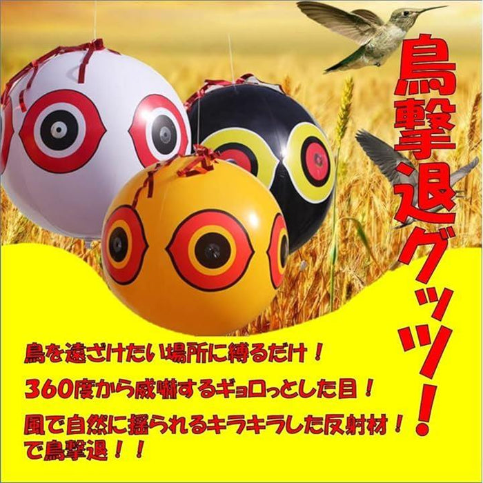 f477091bd25b37a803e48fd36b3d6c