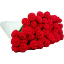 ffffffffffffffffff47fd01fc01fc00f000f000f000f007f01fffffffffffff000000000000f8fb00fcfbff00fafd00