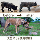 ffff8f818301a1b5b770bffff67f000f23c211001800000a008001070d00ffff