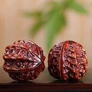 fff7ffe7ff8ffe0ffe4ffddfffbfffbfededc081e68582820004000200000000