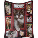 ffffeff3e003e3c3e003e88fe003e143e083e003e003e103e187f043e743c307000000000017011b001309fb003c0922