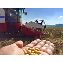 81ffc5ffc3ff03ffc3ff037f010e000000000000000000750cfc39fc7fdcfebd