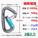 ffffffdaece2cfffc3ff99ff9effabffa3ff87ff93ff99ffdbcfc3ffffffaee0