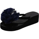 fffffffffbfff1ffe0e3e001e081e001e001e003c00fc03fe07fffffffffffff0000000000a400eb00a4ab0000000000