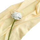 fffeffbcfe70fcc0e1a083a68180200900710028605301e7a17f913f421f023f0000001f001d1d221f231e1d21201f17