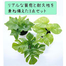 fffffc9fffffe95feeffe0c7c001e041f044fb03fa03f00ff80ffc1fff9fff3f939c9c9c934e1a1a934a463f93904095