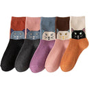 ffffe707c707c307c306c0d8cad8c028c178c129806182618073824b82f386e7000000000007990b00ebed07001ced10