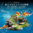 000001000dd800004200f5007feefefffefffe2fff03f3fbe12f73eab8741000000000008b8b8a8b8b87101f8e002d36