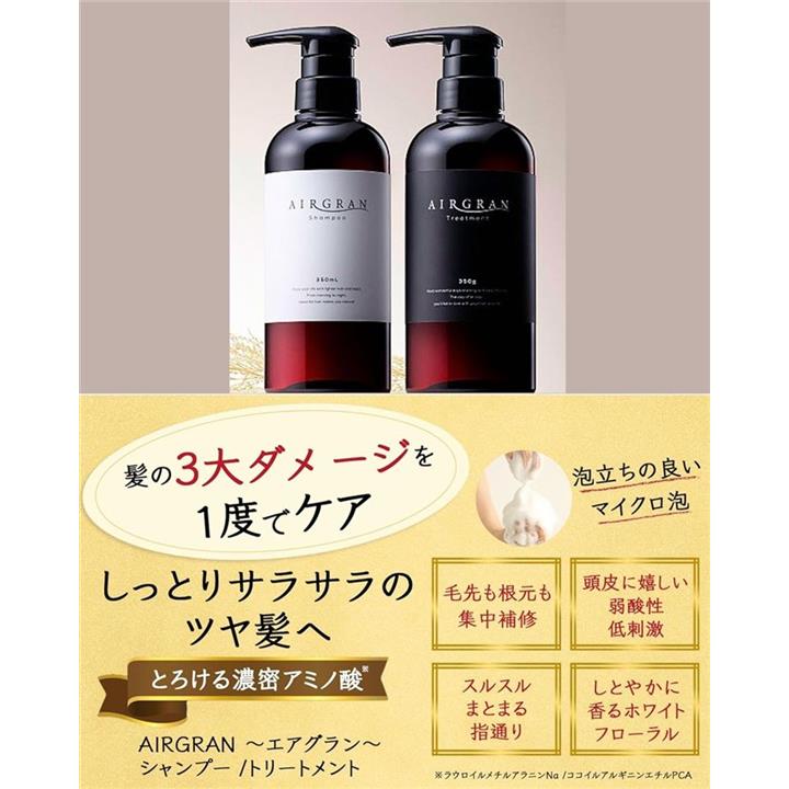 【2セット】エアグラン ナチュラル ストレート シャンプー & トリートメント AIRGRAN / エアグラン ナチュラルストレートシャンプー