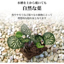 fffffcbffedffffff25ffcdfffffffdef0fdb0aa08078002e002800164059c07000000001c00002b171c191e1a311316