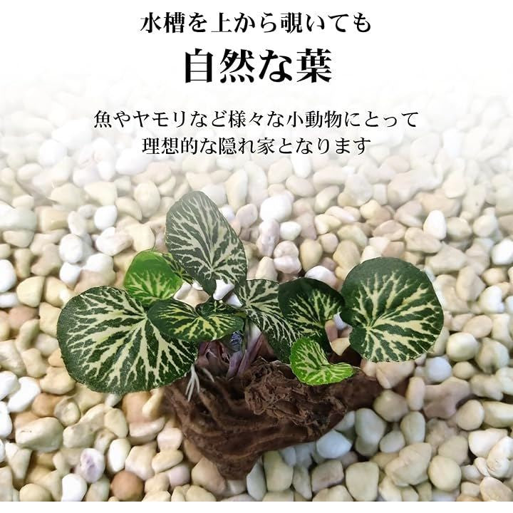 fffffcbffedffffff25ffcdfffffffdef0fdb0aa08078002e002800164059c07000000001c00002b171c191e1a311316