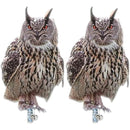 fffffffffdeff1e9e1e1e0e1c3c3c08180808080808081818183e7e7f7fff7ff0000000000fb00040013000e00050006