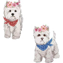 ffffefffe3ffc3ffe1ffc1ffc1ffc1c7e387e3c7ffc3ffc1ffc1ffc1ffd1ffd30000000000240000000f001300000014