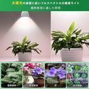 0000000000000c3f1e3f3f3bffe8ffd0e3e9e3fffffff3f78c8d81fd80d6808065656666060908fcfd34fd29653c6472