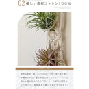 ffffbffffffffe00f800f800ff00ffc0ffc0ff80fc00fc00ffffffdfefffffff000000000024331a00242217002b1522