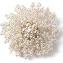 ffffffffffbffca7fc01f615f010f401f280f102e100f800f021fc01f903ffff00000000001f1c1c00170019001d1818