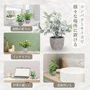 ffffbeffd8ffd03fd31fd68f804f808f808fa08fdf01ff03ff0edd1ff55edbc31c1c1c1c1c24341c1c351c1c1c141513