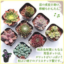 fffffecffc4bc03fd40f82c7c083c2308898c8019001cd8ff0fff5f79ff79ff92929292929371e002909c435297ab289