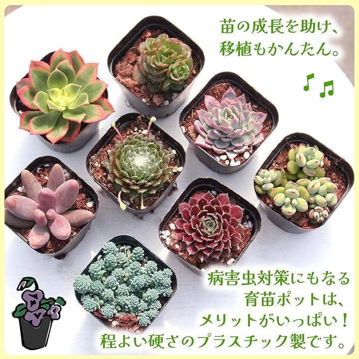 fffffecffc4bc03fd40f82c7c083c2308898c8019001cd8ff0fff5f79ff79ff92929292929371e002909c435297ab289