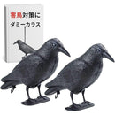 ffffffffcfffffffffffffffe67bf031f062e083c003c207d64ffcdfffc7ffff0000000000000000009e9eab00aba400