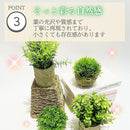 ffffff87affffffffffffffff0fff1eff9c7f987f8cff07ff007f083f043f883333d75472223241e2b32323b2b212732