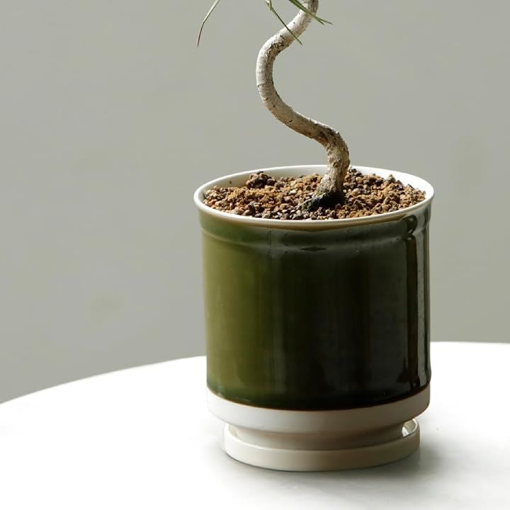 ffffffffffffffffffdffffffe8ffe03fe03fe03fe03fe03fe03ff83ff83ff8330303030303031303132323131002b32