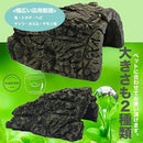 fffffe7fff0ffe43c0030800000d201d1801e001f419f009c005c01980017007