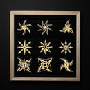 000000003ffe2002200a248a2006200228022c92200228862c5a20023ffe0000000000000000c7210021a0c7001d971d